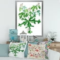 thumbnail image 3 of Designart 'Ancient Drawing of Wild Plants' Traditional Framed Art Print, 3 of 4