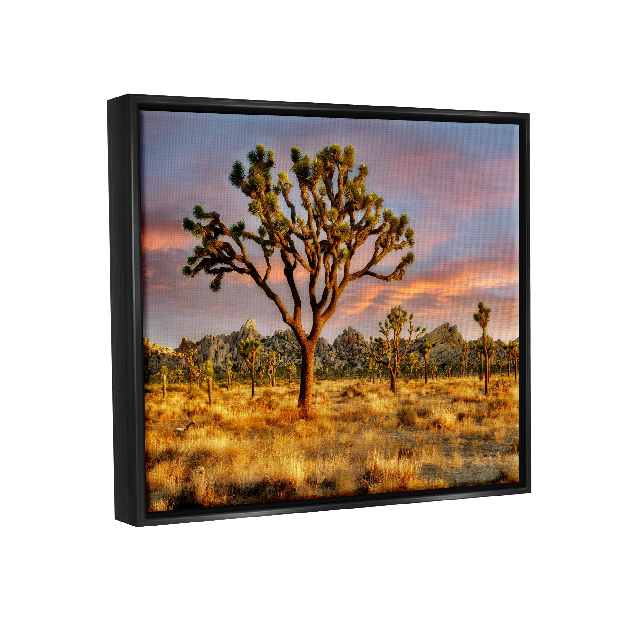 Stupell Industries Savanna Trees Photography Nature Photography Black Floater Framed Art Print Wall Art, 31 x 25