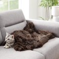 thumbnail image 1 of SHAR Cozy Double Layer Long Plush Pet Mat - Dark Coffee Color (100*73cm), 1 of 4