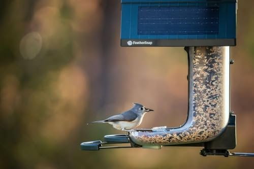 Feathersnap Smart Bird Feeder with AI Identification & HD Camera  Solar-Powered Wi-Fi Feeder Sends Photos & Videos to Your Phone  Includes Pole Mount, Bird Seed, 32GB SD Card, & Cleaning Cloth