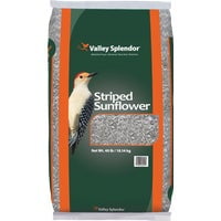 Red River Commodities Valley Splendor Sunflower Seed Bird Seed - Pack of 24