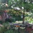 thumbnail image 7 of Novelty Lights 25 Feet Orange G40 Globe Outdoor Patio String Lights, Green Wire, 7 of 7