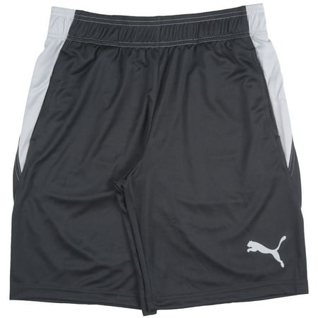 dry cell puma dry cell puma