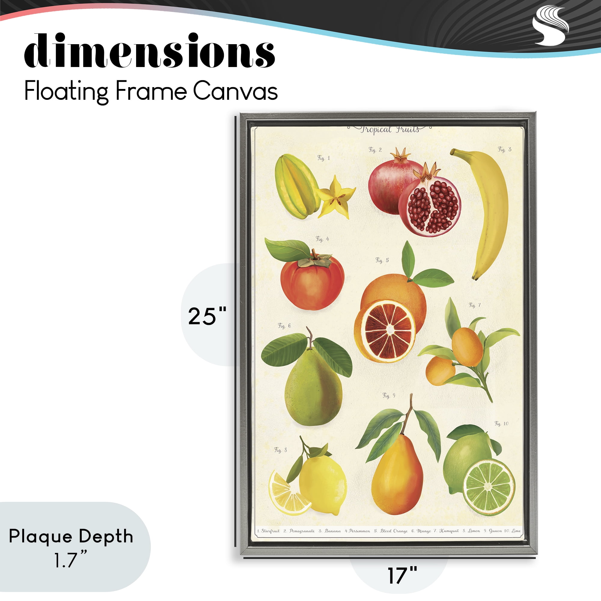 Stupell Industries Vintage Tropical Fruit Studies Gray Framed Floater Canvas Wall Art, design by Diane Neukirch