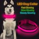 thumbnail image 2 of Collar LED para perros, collar luminoso LED para perros, recargable por USB, collar de seguridad para perros, collar luminoso rosa para perros, 2 of 4