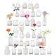 thumbnail image 1 of SOZOMO Juego de 36 Jarrones de Vidrio,Jarrones Transparentes para Centros de Mesa,Florero Decorativos para Mesa,Jarrone Peque&ntilde;os para Flores,Florero de Vidrio Peque&ntilde;os para Boda, 1 of 9