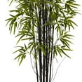 thumbnail image 4 of Nearly Natural 5418 Arbre de Bambou Noir 5 Pieds, 4 of 5