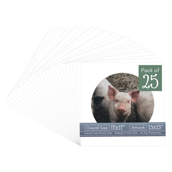 White Picture Frame Mat for 17x17 Frames - Circle Opening for 13x13 Photos - 25 Mats