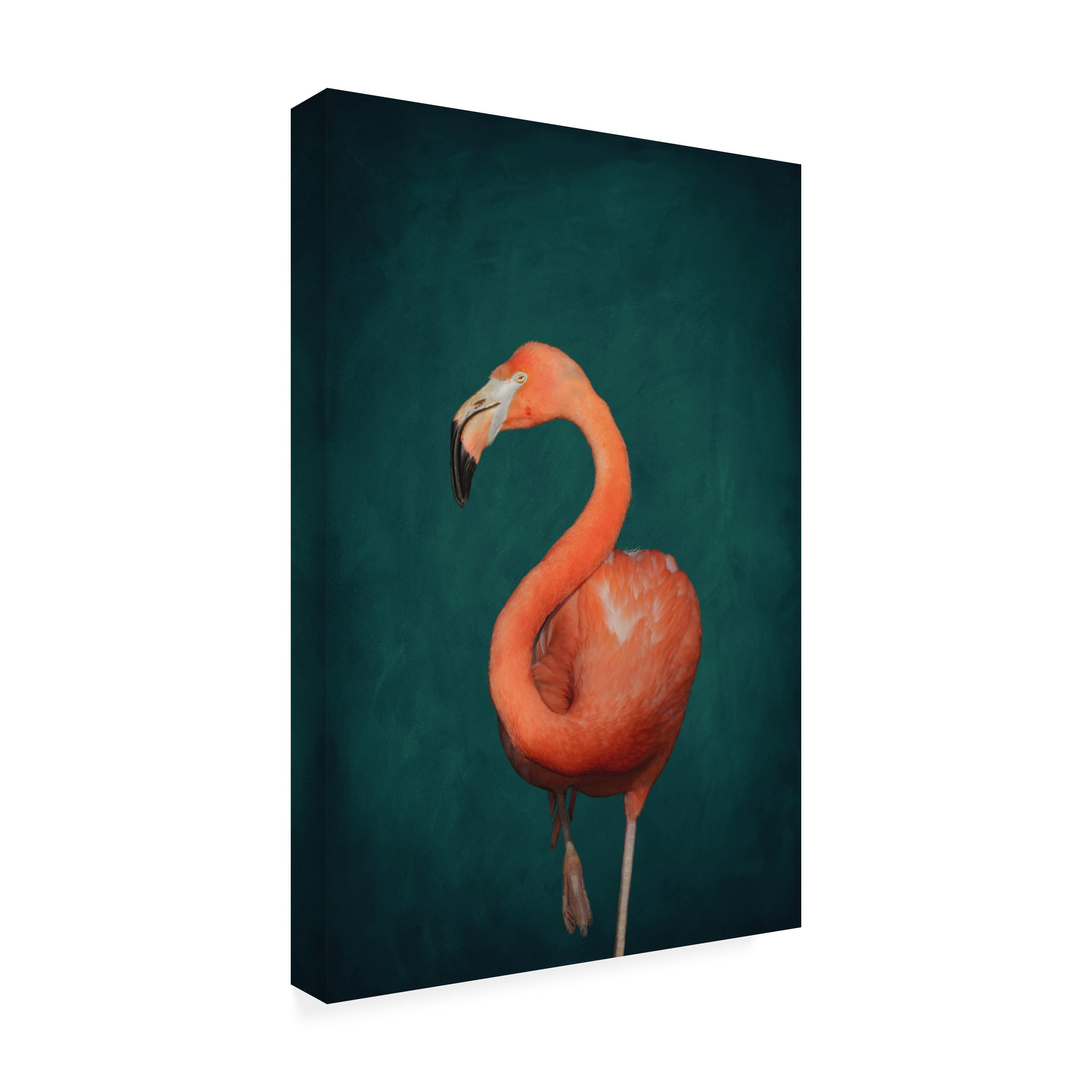 Aureous 'Green Flamingo' Canvas Art