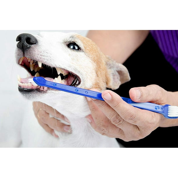 Brushee dog teeth cleaning clearance brush