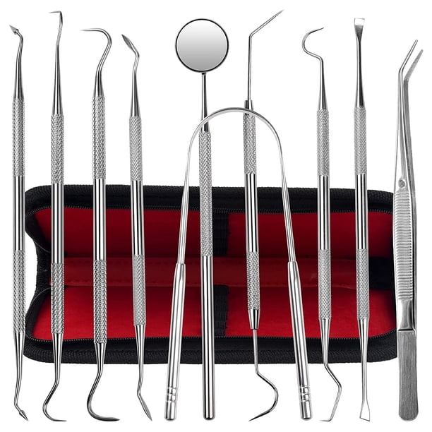 Herramientas Dentales, Paquete De 10 Removedores De Placa De Acero Inoxidable, Juego De Herramientas De Limpieza De Dientes, Kit De Higiene Para El Cuidado Bucal Con Limpiador De Placa Meta, Púas De S