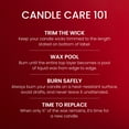 thumbnail image 5 of Yankee Candle Macintosh Large Tumbler Scented Candles, 20 oz, 5 of 8