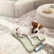 thumbnail image 4 of Alfombras de baño, alfombras para sala de estar, alfombra de área, tapete de baño, almohadilla para cama de perro, almohadilla para dormir para perros, colchón para mascotas, almohadilla para cama, al, 4 of 5