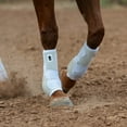 thumbnail image 2 of CLASSIC EQUINE Flexion by Legacy2 Front Support Horse Boots, Color: White, Size: M, 2 of 3