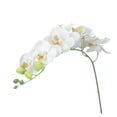 thumbnail image 4 of GETAJGHSD Indoor Decorative Orchid Artificial Orchid Flower Plant White 1Set, 4 of 8