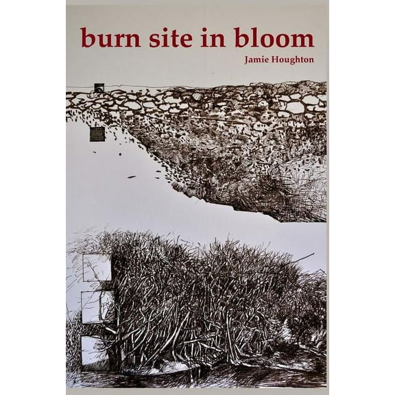 Burn Site in Bloom