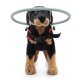 thumbnail image 3 of Mimigo Halo Dispositivo guía de arnés para perros ciegos Ayuda para que los perros ciegos eviten accidentes y generen confianza Accesorio ideal para perros ciegos para navegar por el entorno, 3 of 5