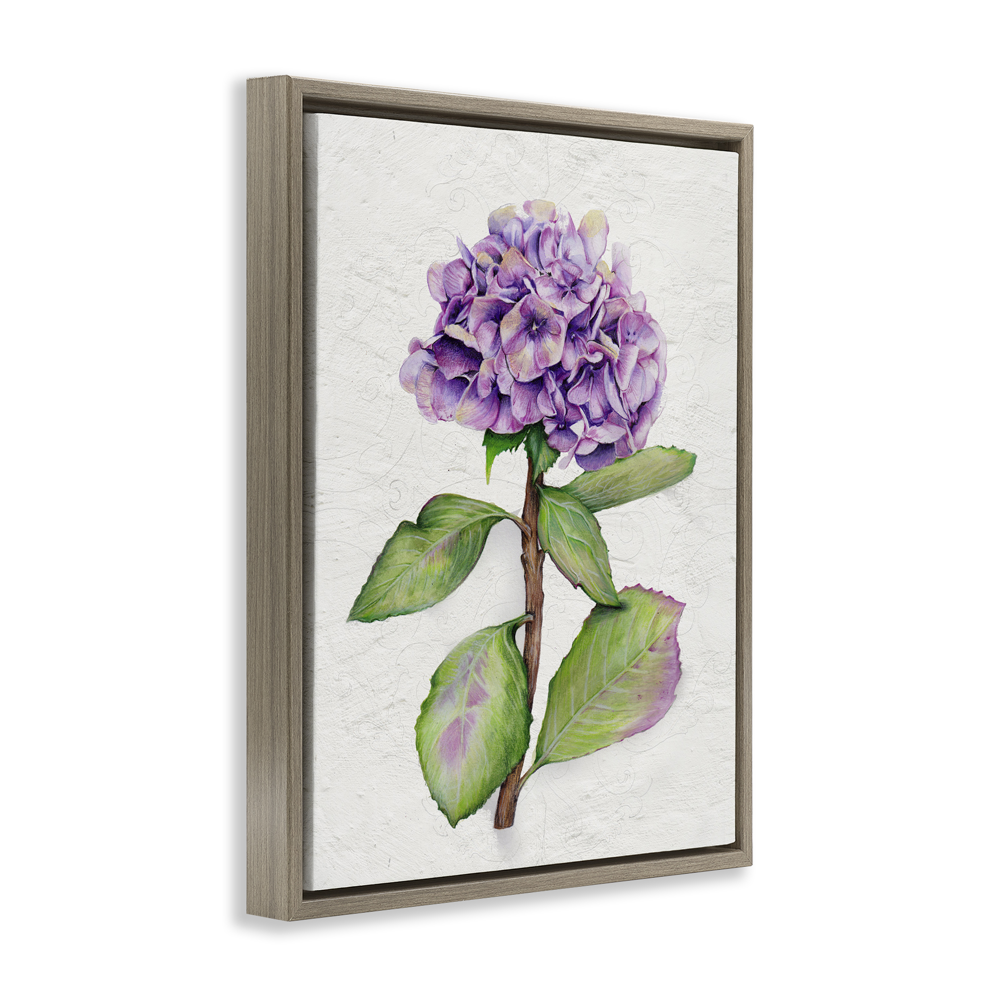 Stupell Industries European Style Hydrangea Botanical & Floral Painting Brown Floater Framed Canvas Art Print Wall Art, 25 x 31