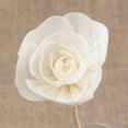 thumbnail image 2 of MasteelfCA 9pcs Fireless Aroma Dried Flower Cane Essential Oil Diffuser Aromatherapy Sticks, 2 of 6