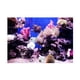 thumbnail image 3 of Telón De Fondo 3D Acuario Bajo el Interior TV Papel Tapiz Vinilo Fotografía Fondo Niños De Niños, 3 of 5