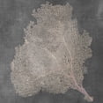 thumbnail image 2 of Vision Studio 20x20 Black Ornate Wood Framed with Double Matting Museum Art Print Titled - Natural Sea Fan VII, 2 of 4