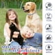 thumbnail image 2 of Dewel-Collar antipulgas para perros y gatos, garrapatas, insectos, mosquitos, impermeable, de larga duración, protección de 8 meses, personalizado,Dog Collar2, Fivean Collar antimosquitos para mascotas, 2 of 2