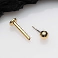thumbnail image 3 of Golden Basic Ball Top Threadless Push-In Steel Labret, 3 of 4