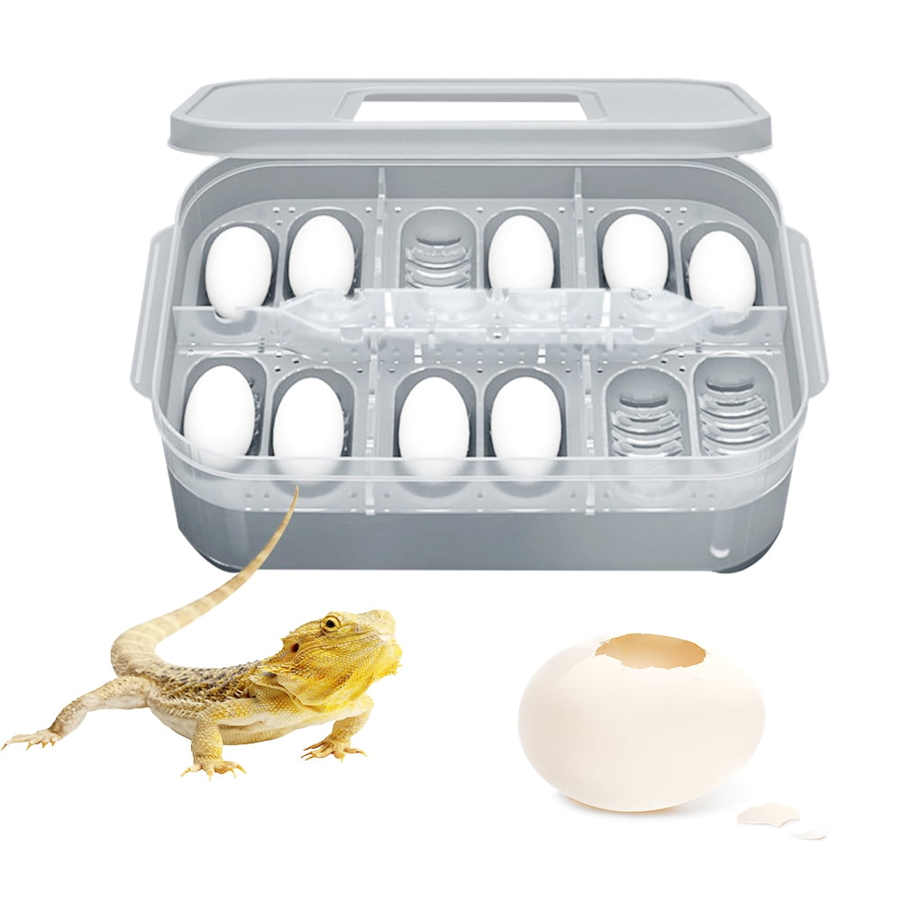 Naliovker 12 Holes Reptile Egg Incubation Tray With Thermometer Incubating Gecko Lizard Snake Eggs Incubation Tool
