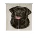 thumbnail image 1 of Cortina Noren ABPHQTO Dibujo Perro Raza Labrador Negro Retrato Japonés 85x90 cm, 1 of 1