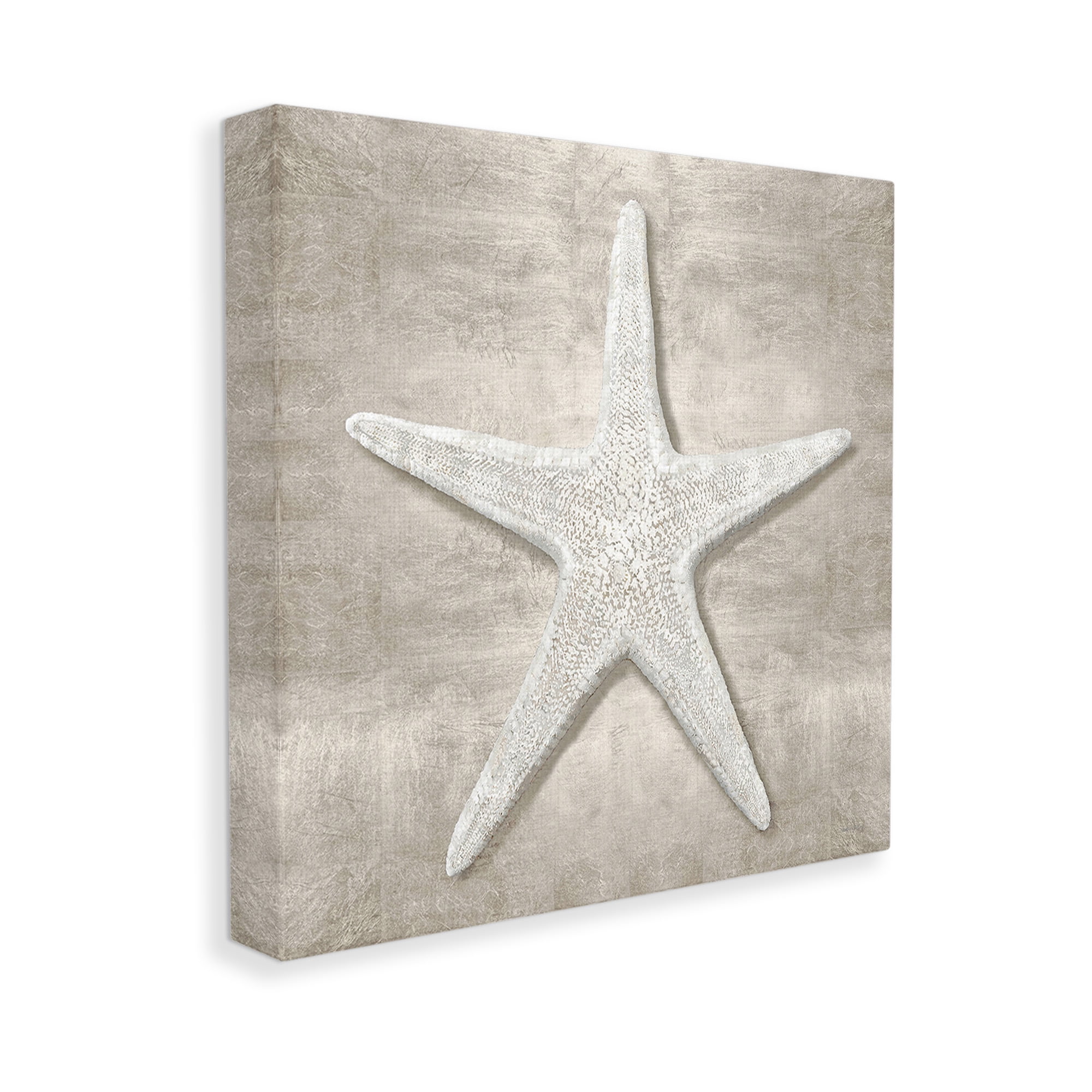 Stupell Industries Rustic Grey Starfish Nature Painting Gallery Wrapped Canvas Art Print Wall Art, 24 x 24