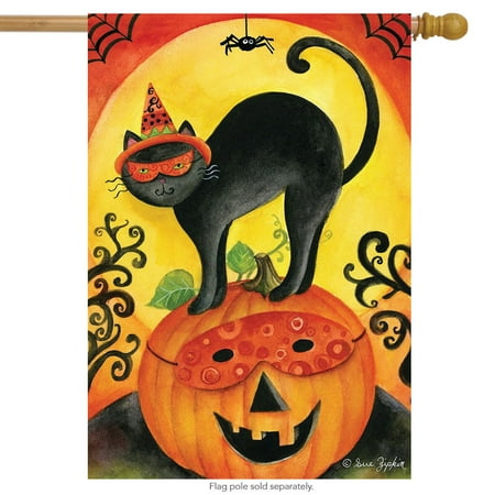 Calico Jacks Flag - Black Cat Halloween House Flag Jack O'lantern Primitive 28