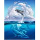 thumbnail image 1 of Poster Lenticular 3D LiveLife Pictures - Dolphin Symphony Deluxebase 15905, 1 of 2