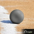thumbnail image 4 of Champion Sports Iron Shot Put, Silver, 6 Pounds, 4 of 5