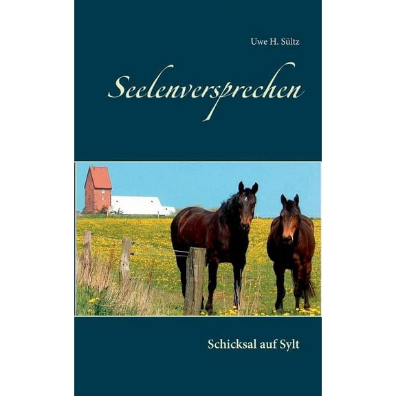 Seelenversprechen: Schicksal auf Sylt, (Paperback)