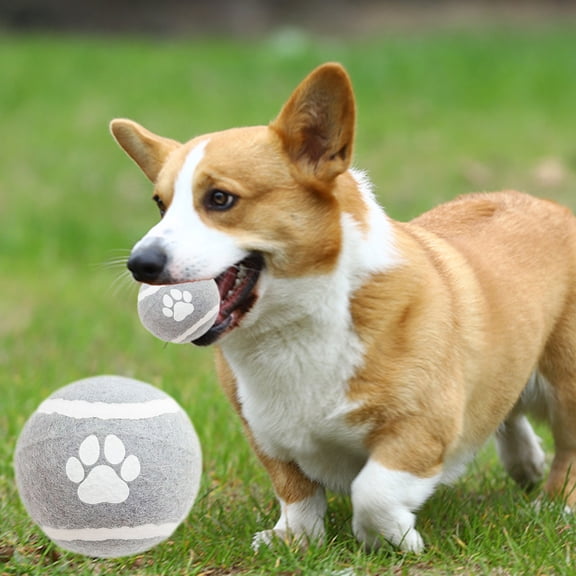 Byujiro Paw Print Dog Tennis Ball Solid Elastic Ball Interactive Fetch & Chew Toys for Small to Medium Dogs