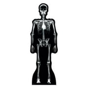 X-Ray Skeleton