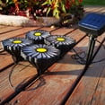 thumbnail image 6 of Hvmvliv Solar Lights Outdoor 4 Pack Solar Lights Outdoor Garden Decor Solar Garden Lights with 4 Daisy Flowers Water-Proof Auto On/Off Solar Flowers Lights for Outdoor Garden Yard Patio B, 6 of 8