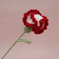 thumbnail image 3 of Bgsha Carnation Crochet Flower Single Bunch Knitted Flower Mother's Day Present, 3 of 9