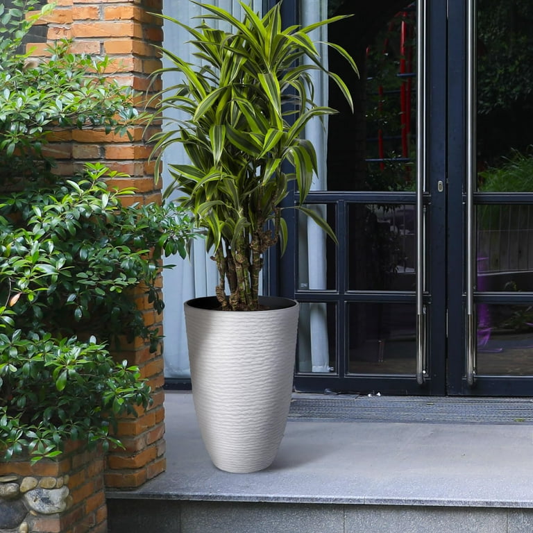 Extra large Indoor Planters for Trees - Foter