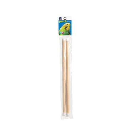 BIRDIE BASIC 3/8 X 12 PERCH