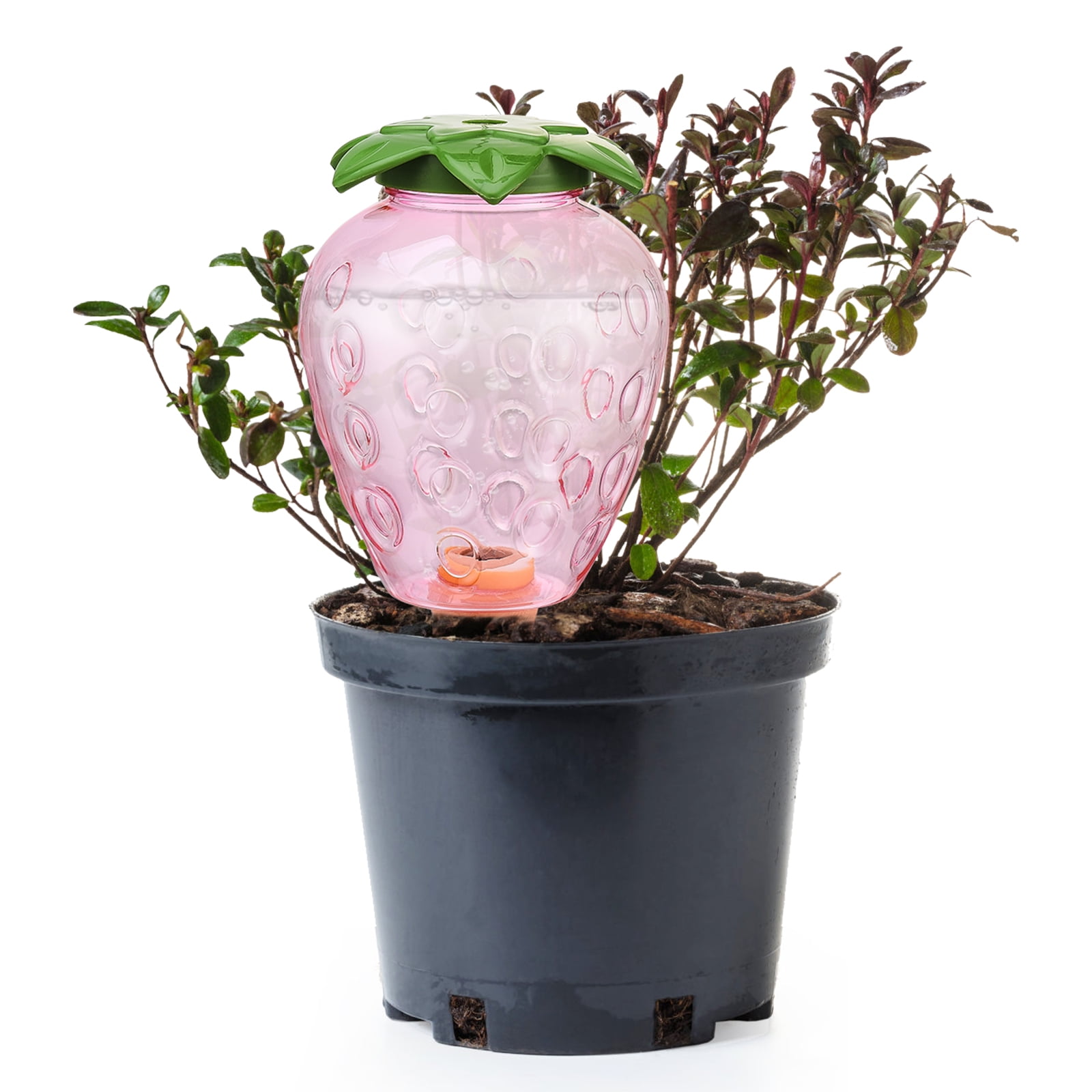 Plant SelfWatering Ball，Garden Plants Holiday Plant Protector Automatic Drip Irrigation Plastic