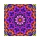 thumbnail image 1 of Taladro Completo DIY 5D Flor Diamante Pintura Imagen Kit de Manualidades Decoración 25x25cm Púrpura, 1 of 9