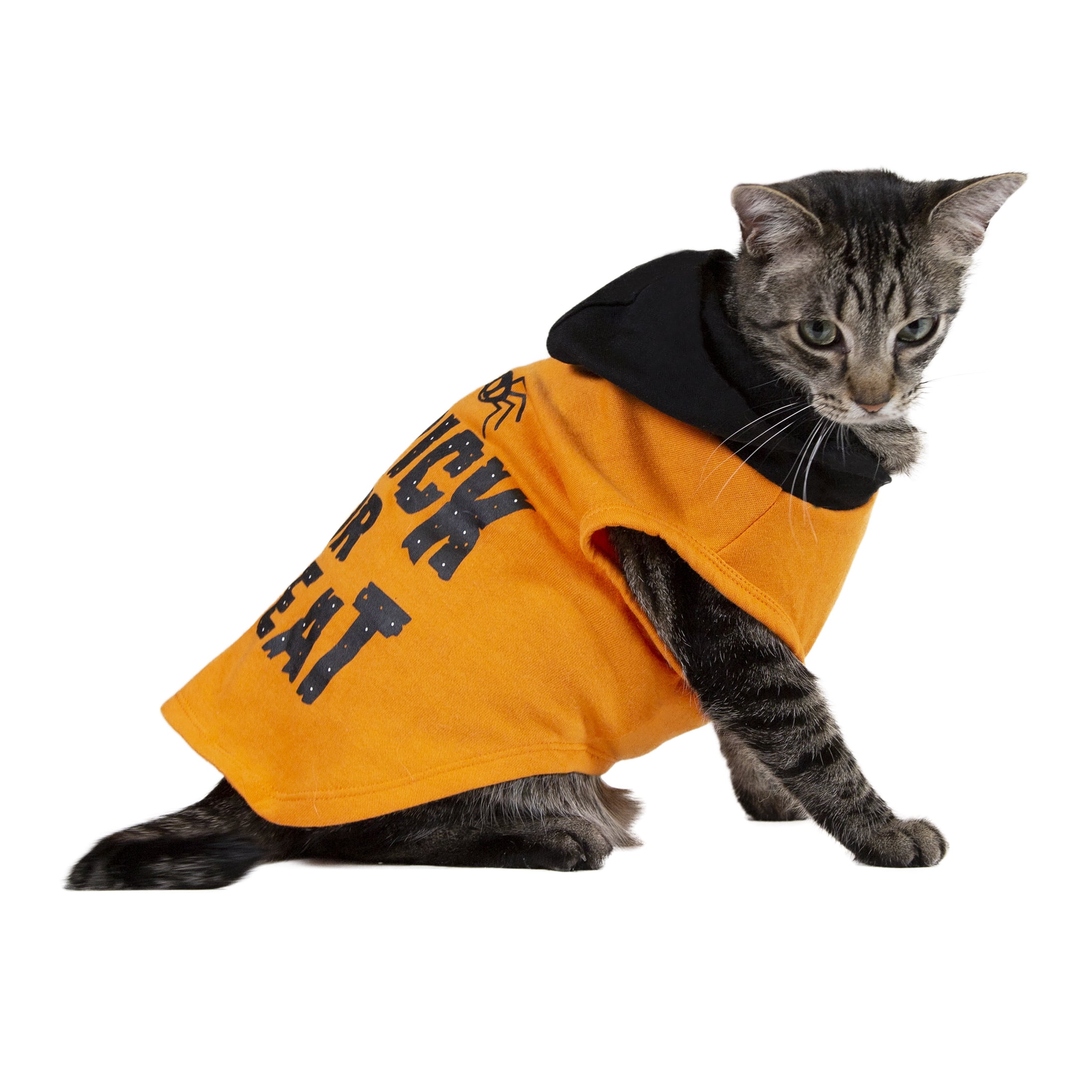 Vibrant Life Halloween Dog Clothes, Orange Trick or Treat Halloween Hoodie, for Dogs or Cats, Extra Small