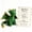 Green Dragon Dolls Buddies, variant on Collector Emotional Support Dragon Pocket Buddy Mini Collectibles Plush, Dragon Plush Dolls Figures with Encouragement Card, Anxiety Relief Desk Decor Rare Fantasy Gift For Hobbyist Collectors