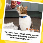 Temptations Indoor Care Chicken Flavor Crunchy and Soft Cat Treats, 4.9 oz Pouch