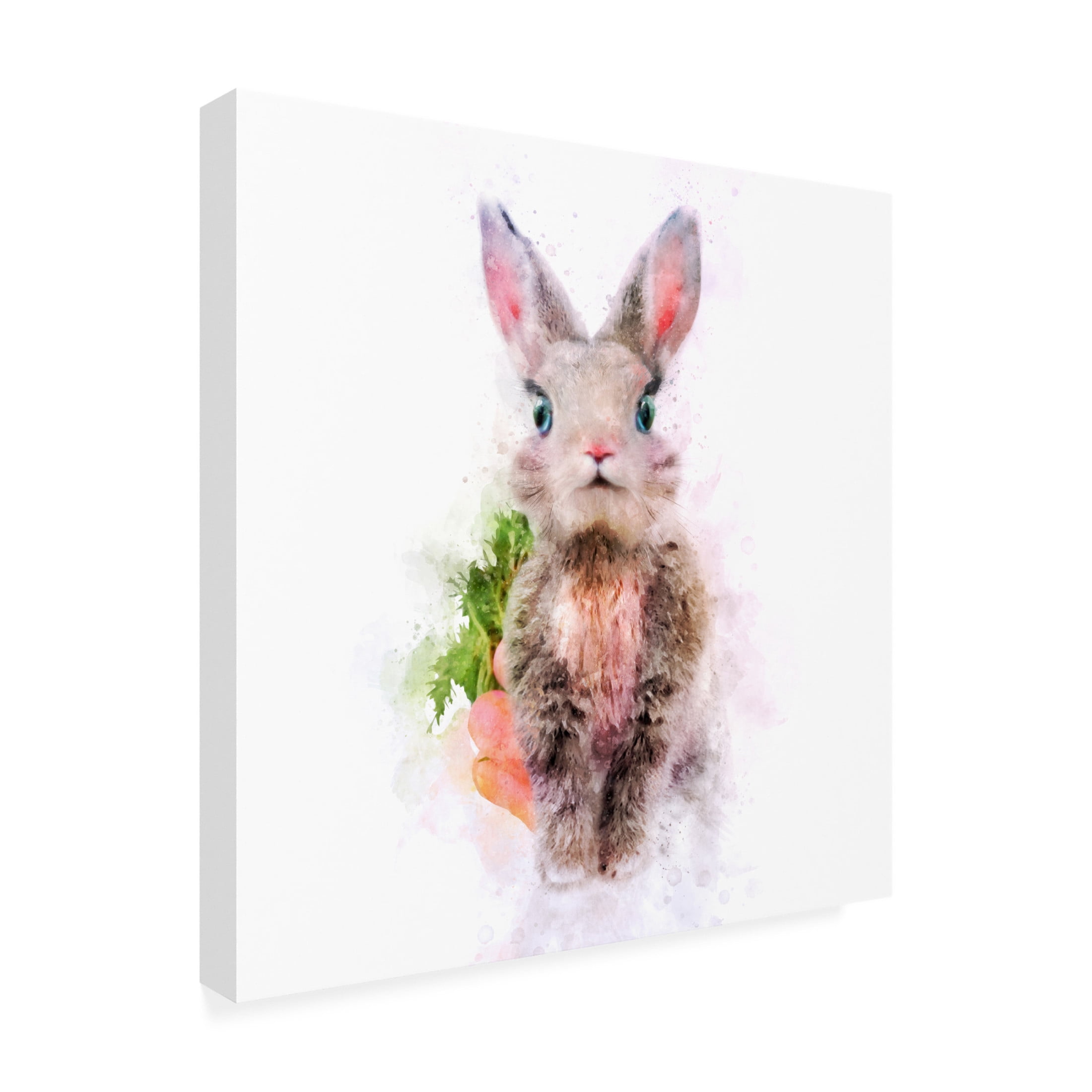 Trademark Fine Art Emel Tunaboylu Baby Rabbit Canvas Wall Art