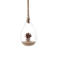 thumbnail image 1 of Danya B Larme Suspendu Jardinière en Verre avec Corde, 1 of 1