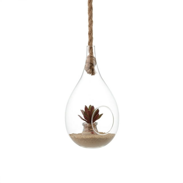Danya B Larme Suspendu Jardinière en Verre avec Corde