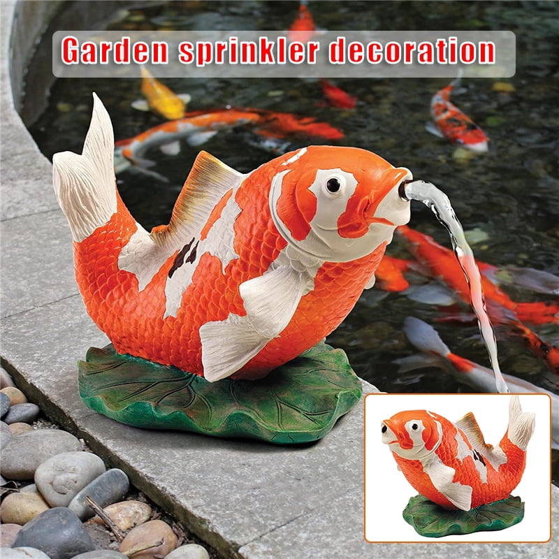 Fish pond accessories near me hotsell