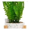 thumbnail image 4 of Planta Mainstays Artificial con Maceta y Base de Madera Multicolor, 4 of 4
